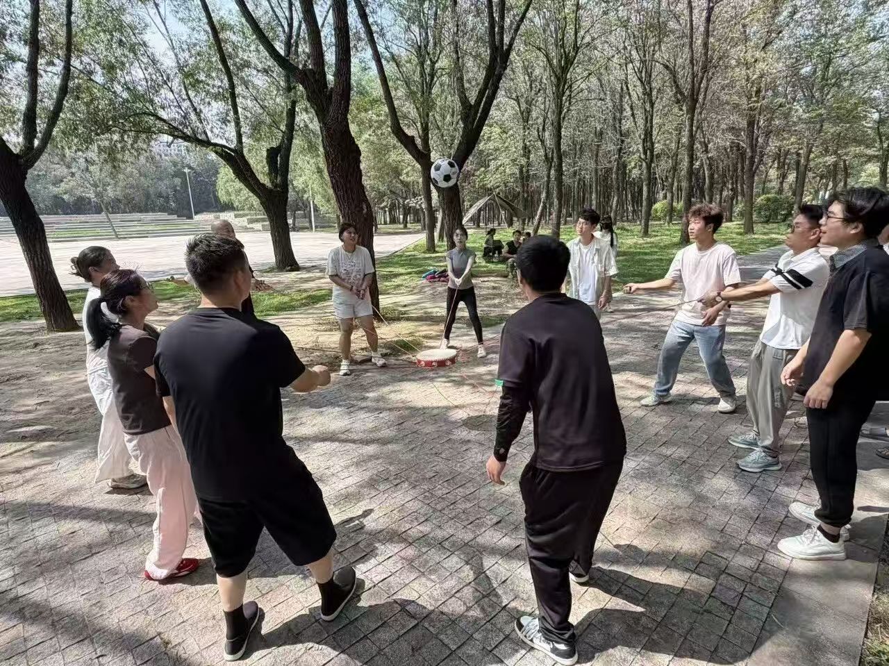 微信图片_20260713150643_27_287.jpg
